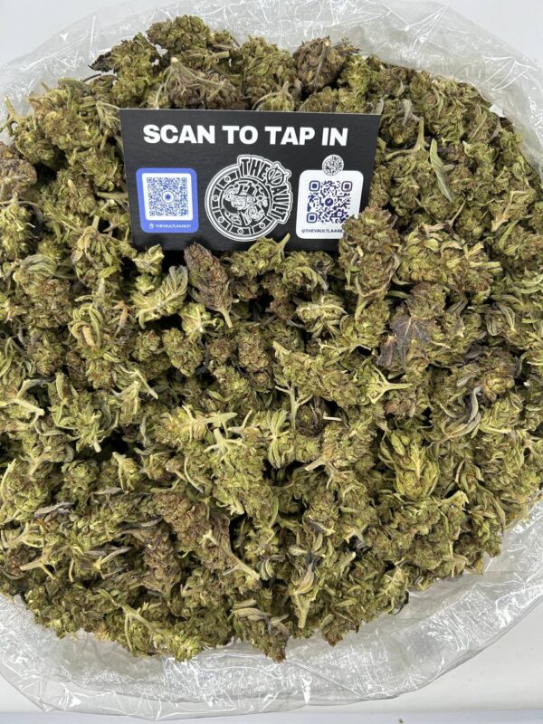 ROYAL TROPICANA